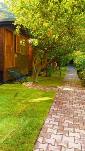 Olympos Varuna Bungalows & Restaurant